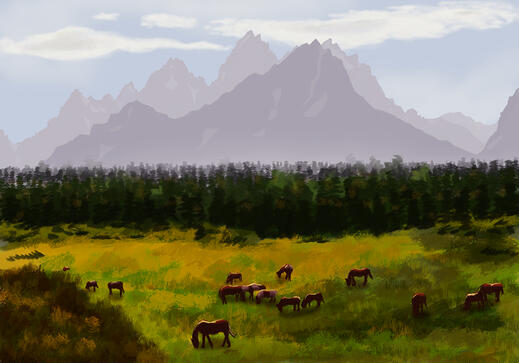 Landscape