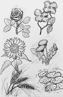 Plants
